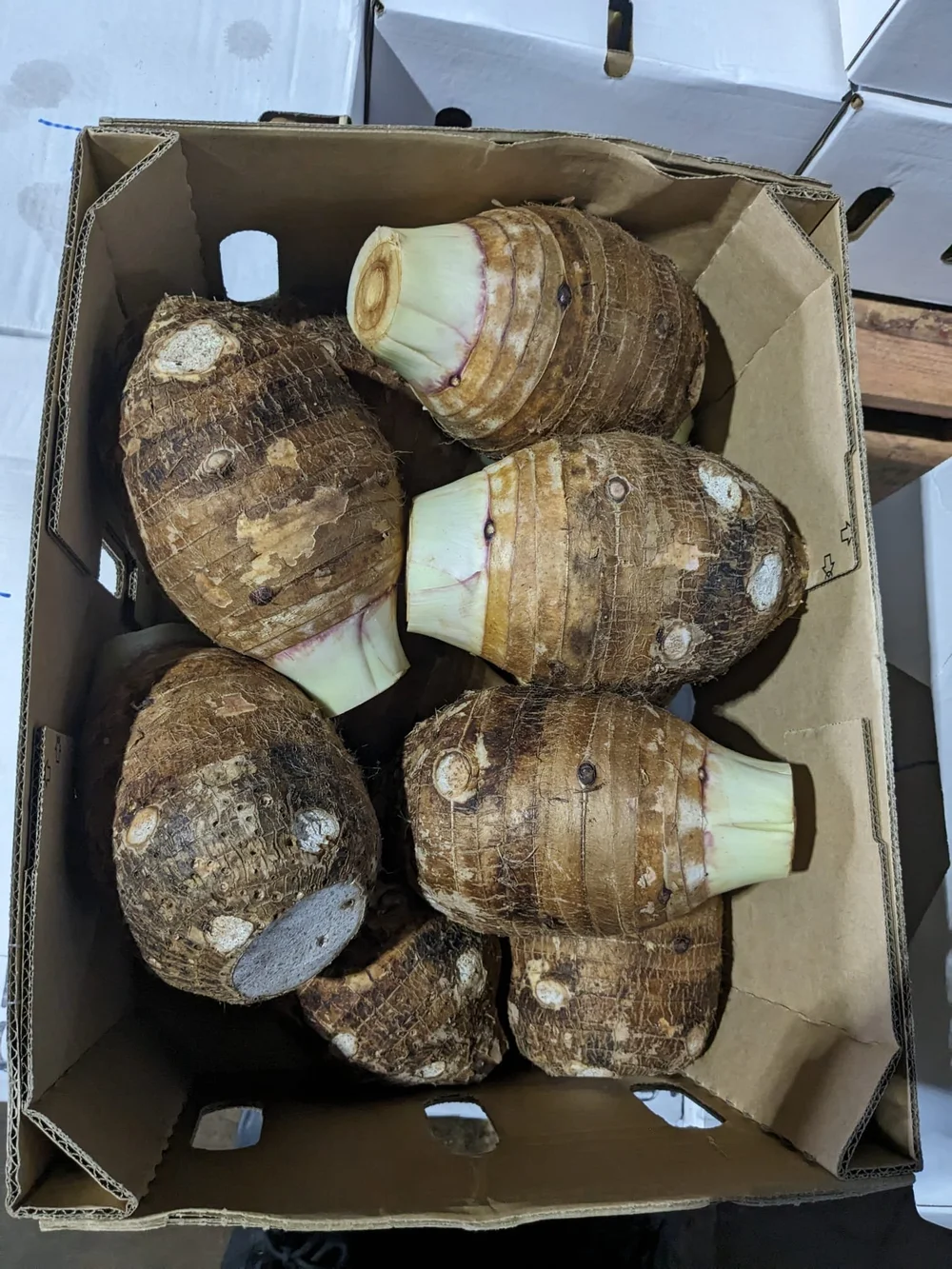 Taro 15kg — Natural Selection Produce
